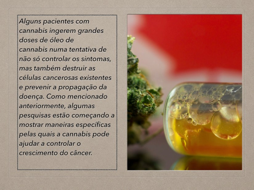 cannabis e cancer.005