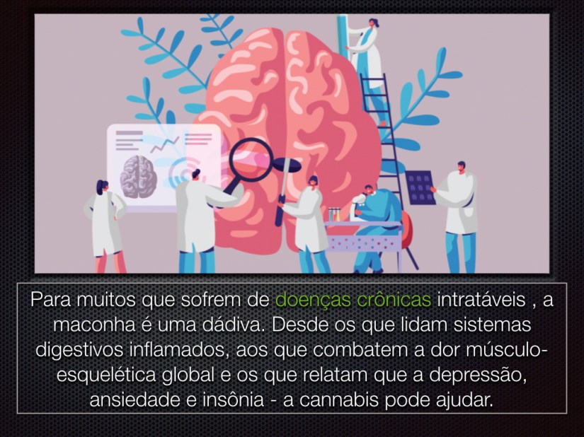 def clin sistema endocananinoide.002