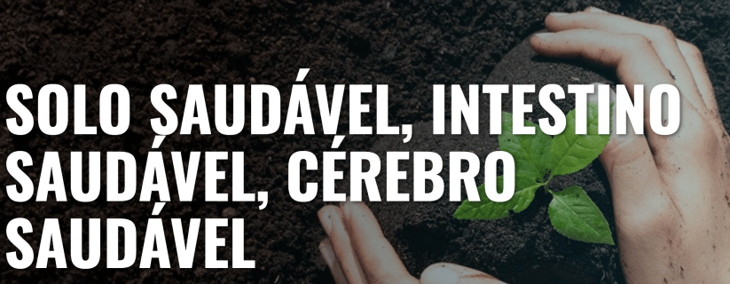 Captura de Tela 2020-08-08 às 18.04.44